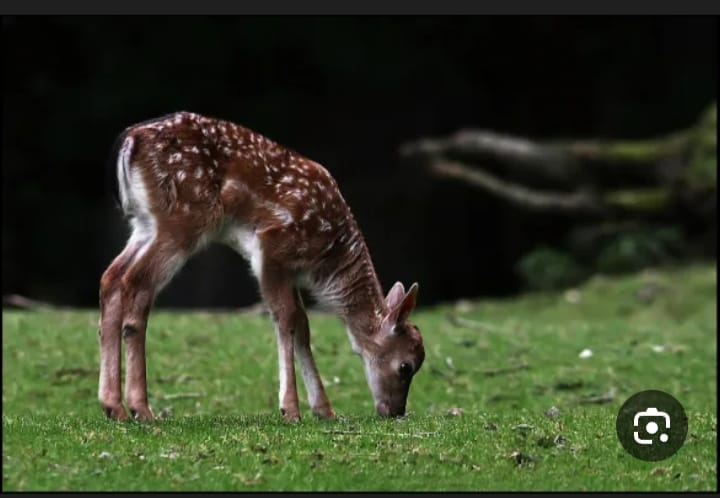 a376940f 8544 4960 9f0b 5f4366b16053